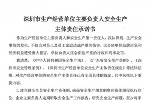 深圳市生產(chǎn)經(jīng)營(yíng)單位主要負(fù)責(zé)人安全生產(chǎn)主體責(zé)任承諾書